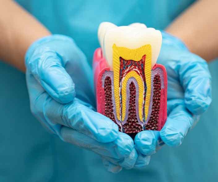 Fill, seal and prevent future infection